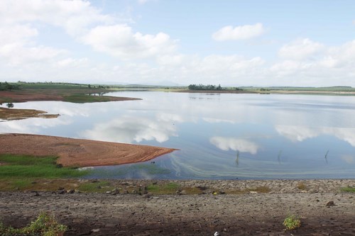 Hồ Trúc Kinh ở H.Gio Linh chỉ có lượng nước đạt 38% dung tích thiết kế - Ảnh: Nguyễn Phúc