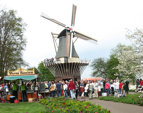  Lễ hội hoa Keukenhof (Hà Lan) - Ảnh: Đoàn Xuân Hải