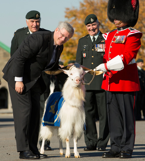 Thủ tướng Canada (bìa trái) và chú dê Batisse nổi tiếng - Ảnh: VP Thủ tướng Canada
