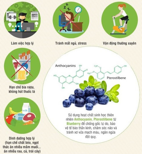 Tinh chất Blueberry có trong OTiV là giải pháp hiệu quả giúp phòng ngừa đột quỵ 