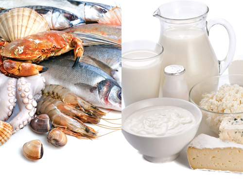 Hải sản và các sản phẩm từ sữa cung cấp nhiều vitamin nhóm B - Ảnh: Shutterstock 
