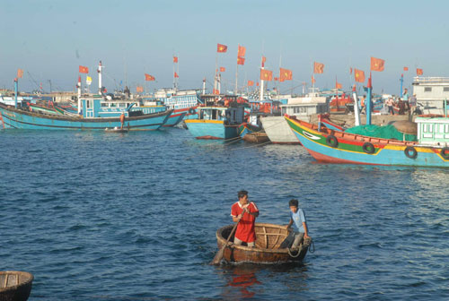 Phần lớn tàu thuyền ở Lý Sơn có công suất nhỏ, đánh bắt ven bờ nên thu nhập của ngư dân rất thấp - Ảnh: Hiển Cừ 