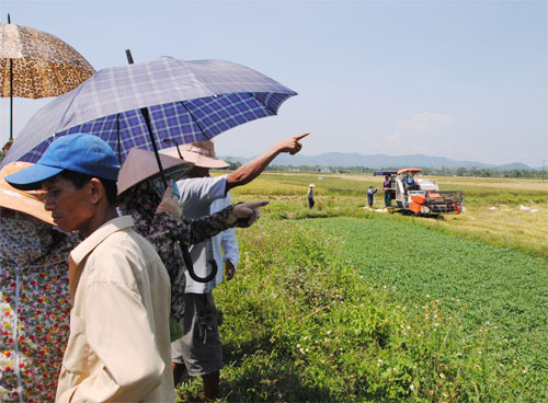 Người dân tụ tập phản ánh với PV việc HTX Hương Long và công an phường này không cho máy gặt họ tự thuê ra đồng gặt lúa