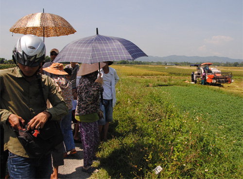 Nông dân P.Hương Long phản ứng việc HTX Hương Long cản trở không cho họ thuê máy gặt bên ngoài - Ảnh: B.N.L