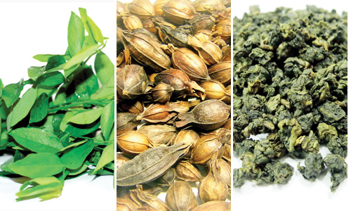 Rau ngót, vị thuốc chi tử, trà xanh... dùng làm nguyên liệu chế biến món ăn bài thuốc - Ảnh: K.Vy - Thái Nguyên - Hạ Huy