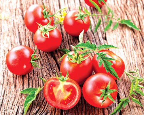 Hạn chế ăn cà chua nếu bạn hay bị ợ nóng - Ảnh: Shutterstock 