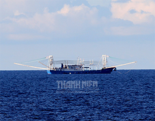 Tàu cá bọc sắt Trung Quốc bảo vệ vòng ngoài bãi Châu Viên - Ảnh: M.T.H
