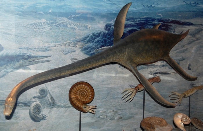 Ảnh phác họa lại hình dạng của xà đầu long cổ dài - Ảnh: Natureworldnews