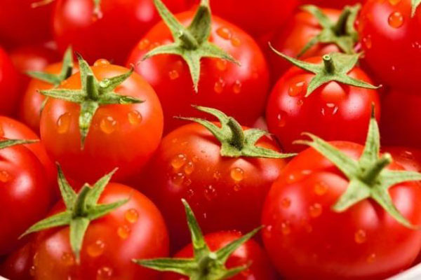 Cà chua là một trong những loại quả tốt cho phụ nữ trong việc ngừa ung thư vú - Ảnh: Shutterstock