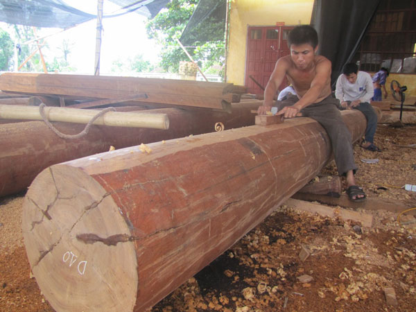 Cột tròn của công trình được làm từ lỗ lim đưa từ Lào về