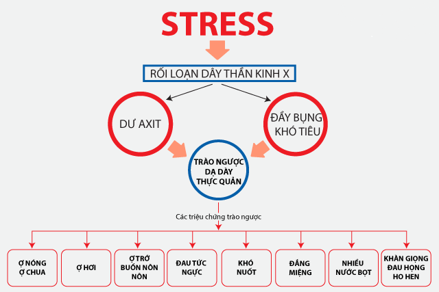 Kiểm soát stress để hạn chế các triệu chứng trào ngược