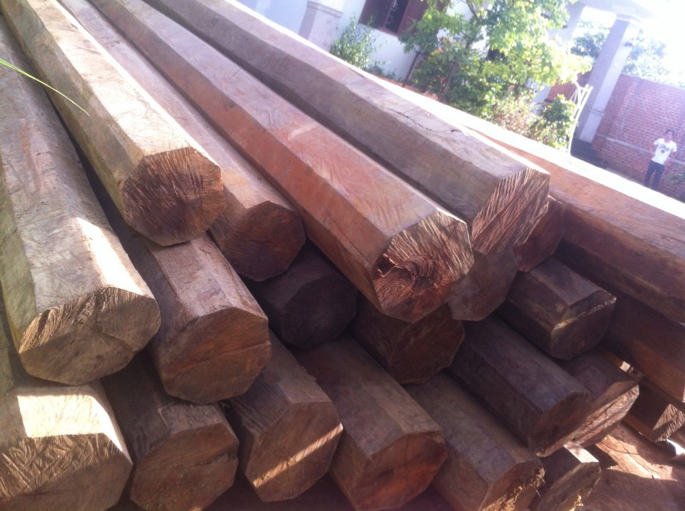 26 cây gỗ không có giấy tờ hợp lệ tại nhà ông Nguyễn Xuân Cự - Ảnh: Ngọc Anh
