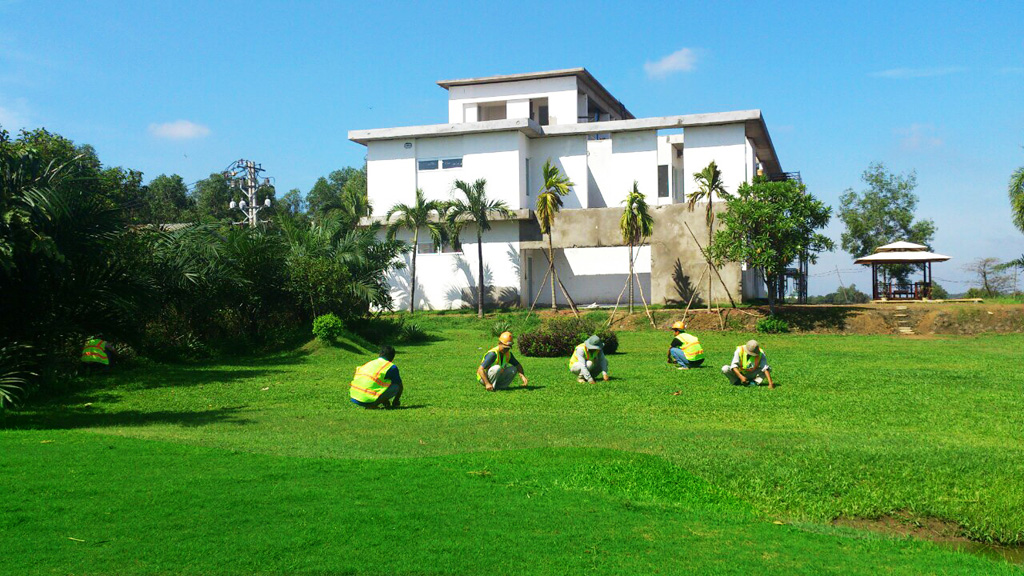 Các công nhân đang chăm sóc cỏ tại sân golf Léman