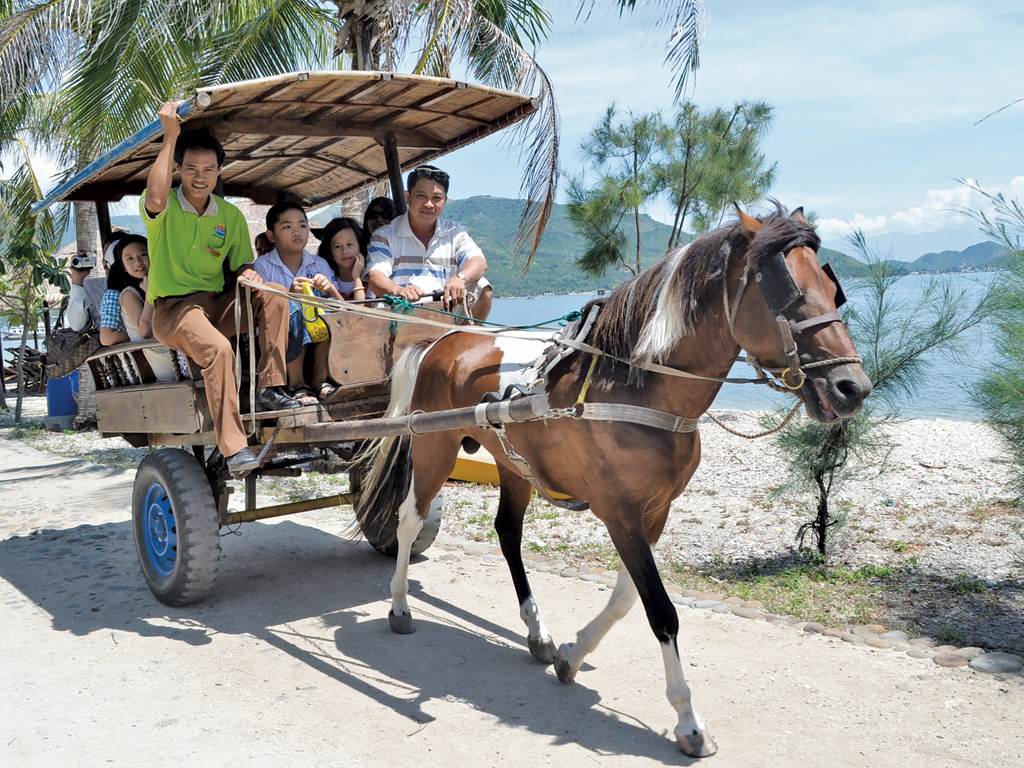 Đi xe ngựa trên đảo khỉ - Ảnh: Trà Sơn