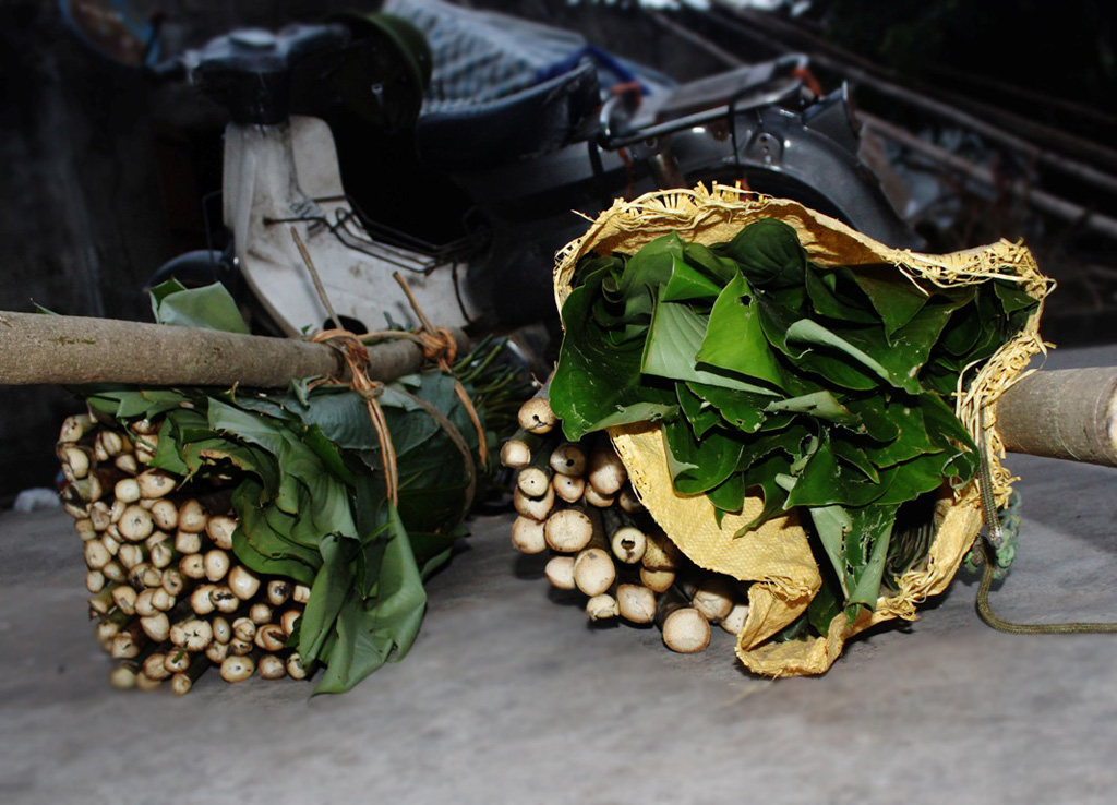 Lá dong, lá chuối, ống giang chẻ sợt buột bánh của một gia đình thợ rừng nghèo ở xã Quảng Kim chuẩn bị mang ra chợ bán