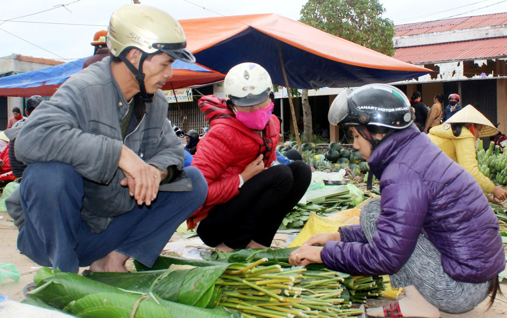 So với lá chuối, và dong vườn, thì lá hái từ rừng được ưa chuộng hơn do xanh, lá to và dày