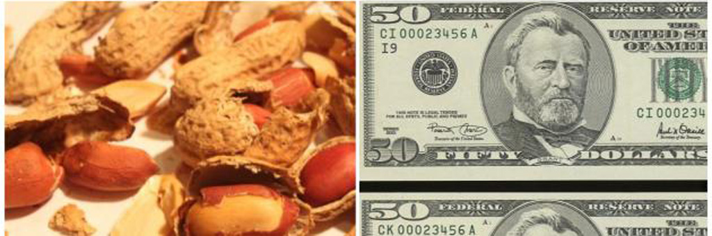 Vỏ đậu phộng và tờ 50 USD bị kiêng cữ ở làng đua xe tốc độ - Ảnh: buzzbombed.com