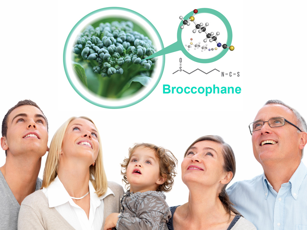 Tinh chất Broccophane thiên nhiên có trong WIT giúp tăng cường Thioredoxin, bảo vệ tế bào biểu mô sắc tố võng mạc RPE, phòng ngừa bệnh võng mạc tiểu đường