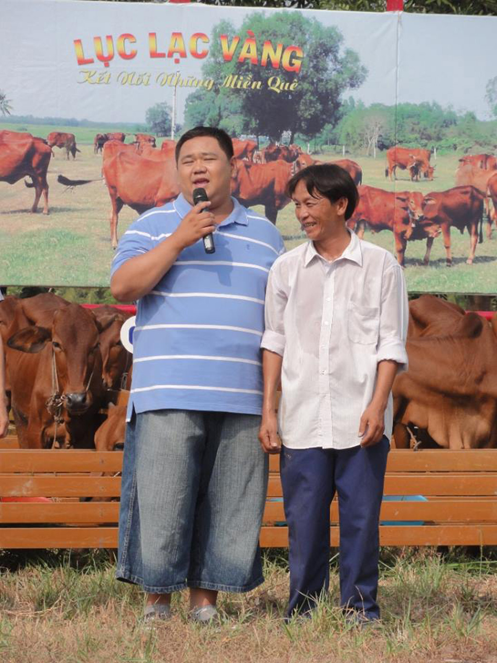 Người dân nhiều vùng quê đã quen dần với hình ảnh Minh Béo về làng mình mang theo quà tặng là những cặp bò của chương trình giúp nông dân nghèo khởi nghiệp