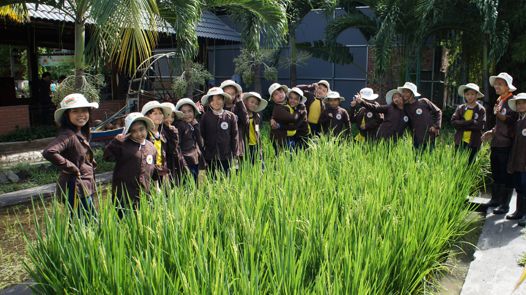 Trẻ em TP.HCM phấn khích làm ruộng tại Vườn nông nghiệp Lộc Trời ở KizCiti