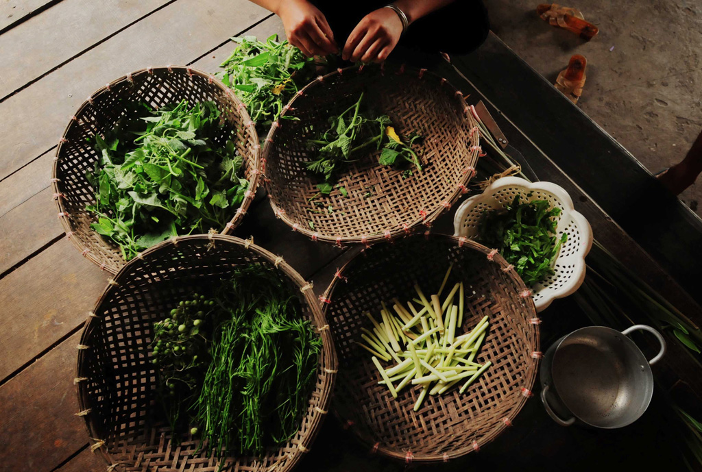 Chủ nhà nói: “Đợi chị một lát chị ra sau vườn lấy rau”. Sau chừng nửa tiếng thì đủ các loại rau mới hái về bày ra trước mắt tôi, có loại quen nhưng cũng có những loại rau, quả lần đầu tiên tôi nhìn thấy.