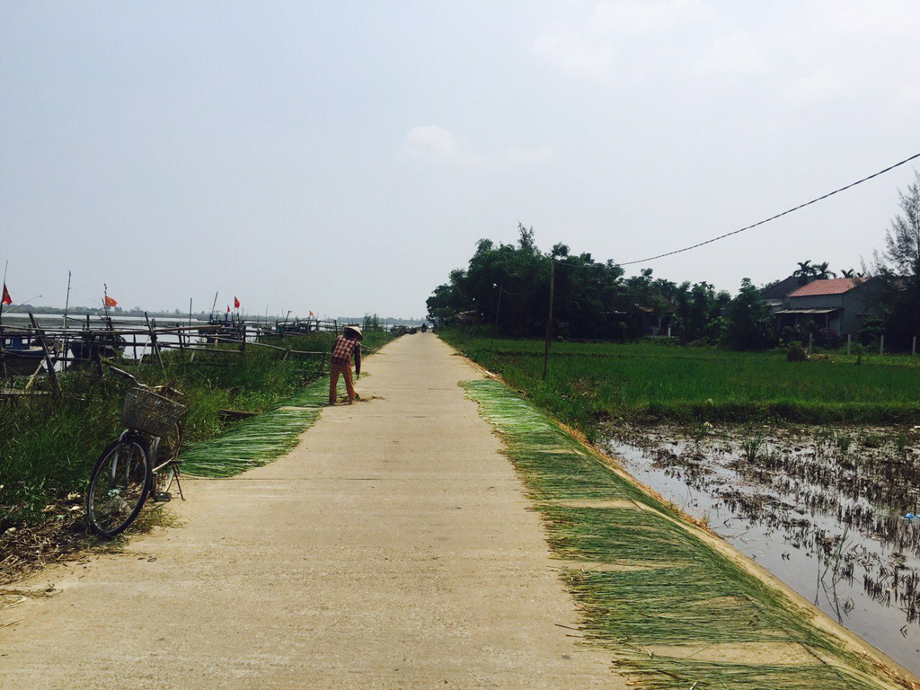 Con đường làng bê tông nằm ven sông ở Cẩm Kim khiến khung cảnh thật bình yên