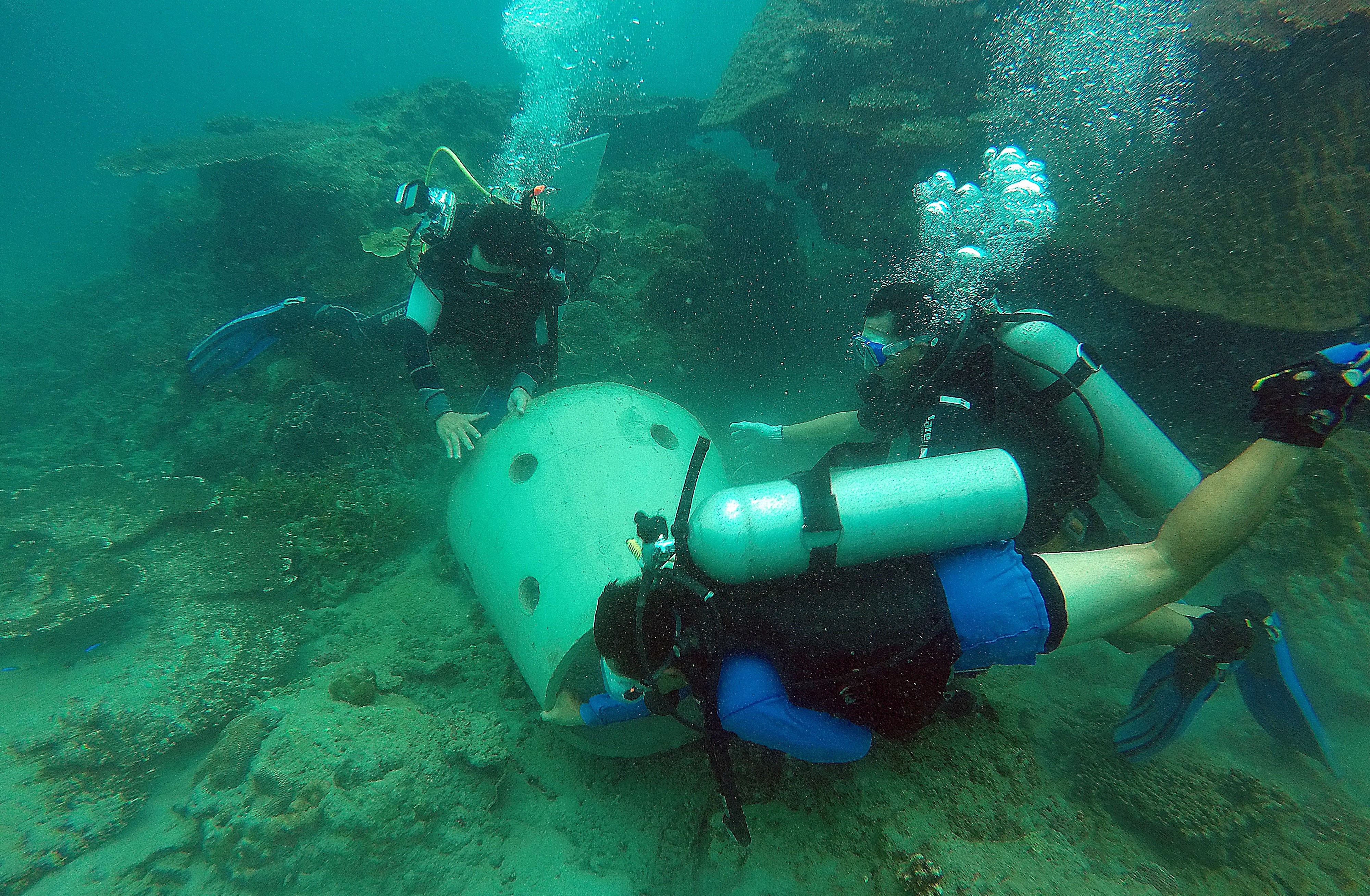 Bồn san hô nhân tạo sẽ được đưa xuống và cố định ở dưới biển Côn Đảo