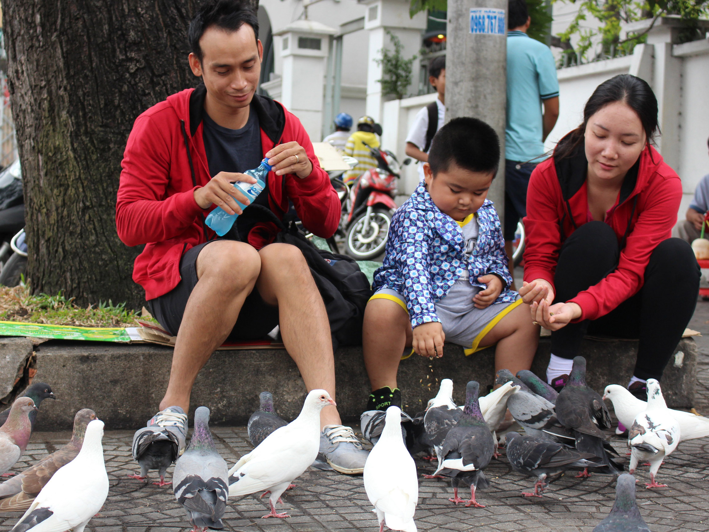 Nhiều gia đình dẫn con nhỏ ra chơi với bồ câu - Ảnh: Vũ Phượng