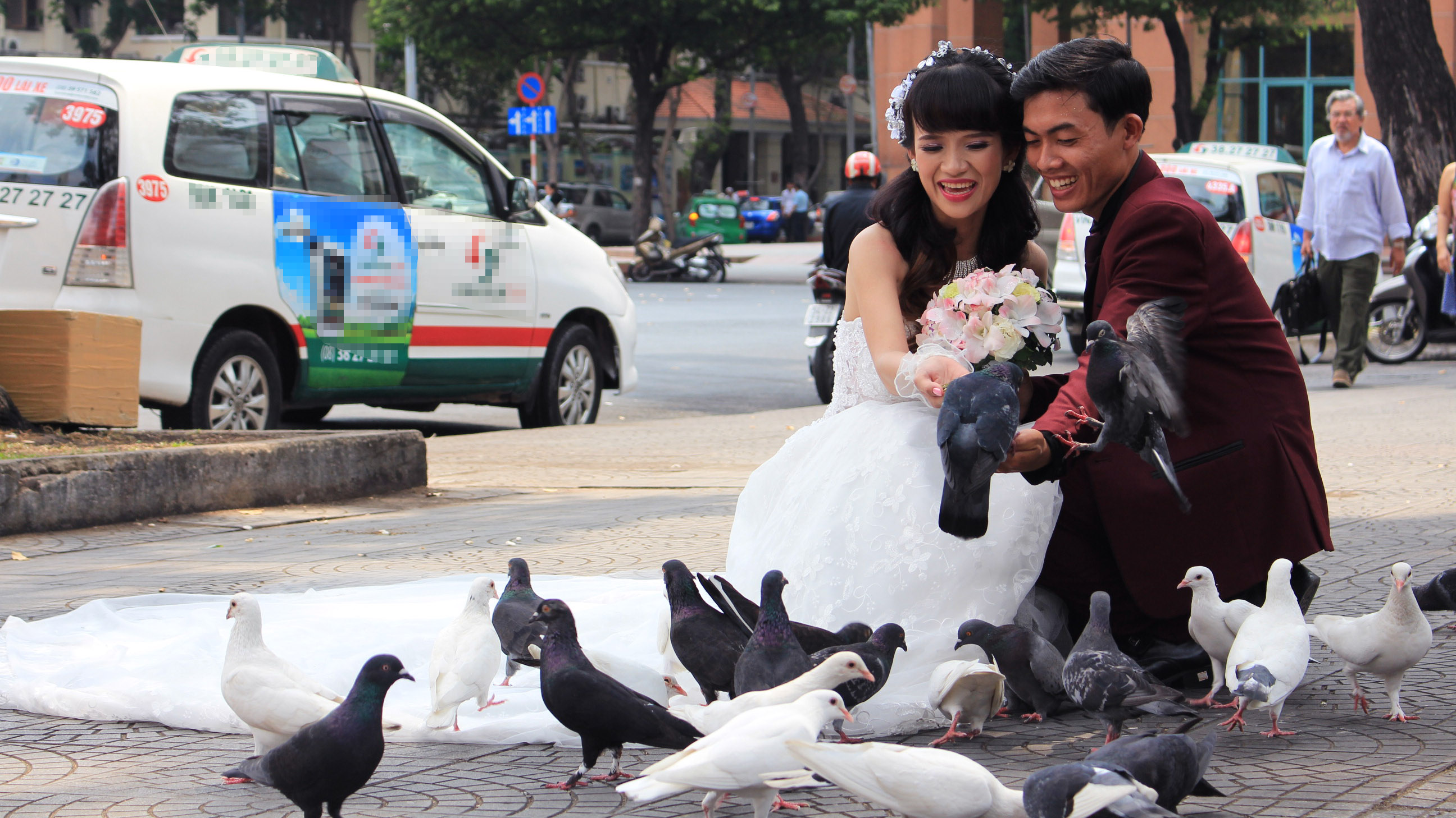 Mỗi cặp đôi chụp ảnh cưới đều gửi lại chị Thanh một số tiền nho nhỏ để mua lúa cho đàn bồ câu - Ảnh: Vũ Phượng