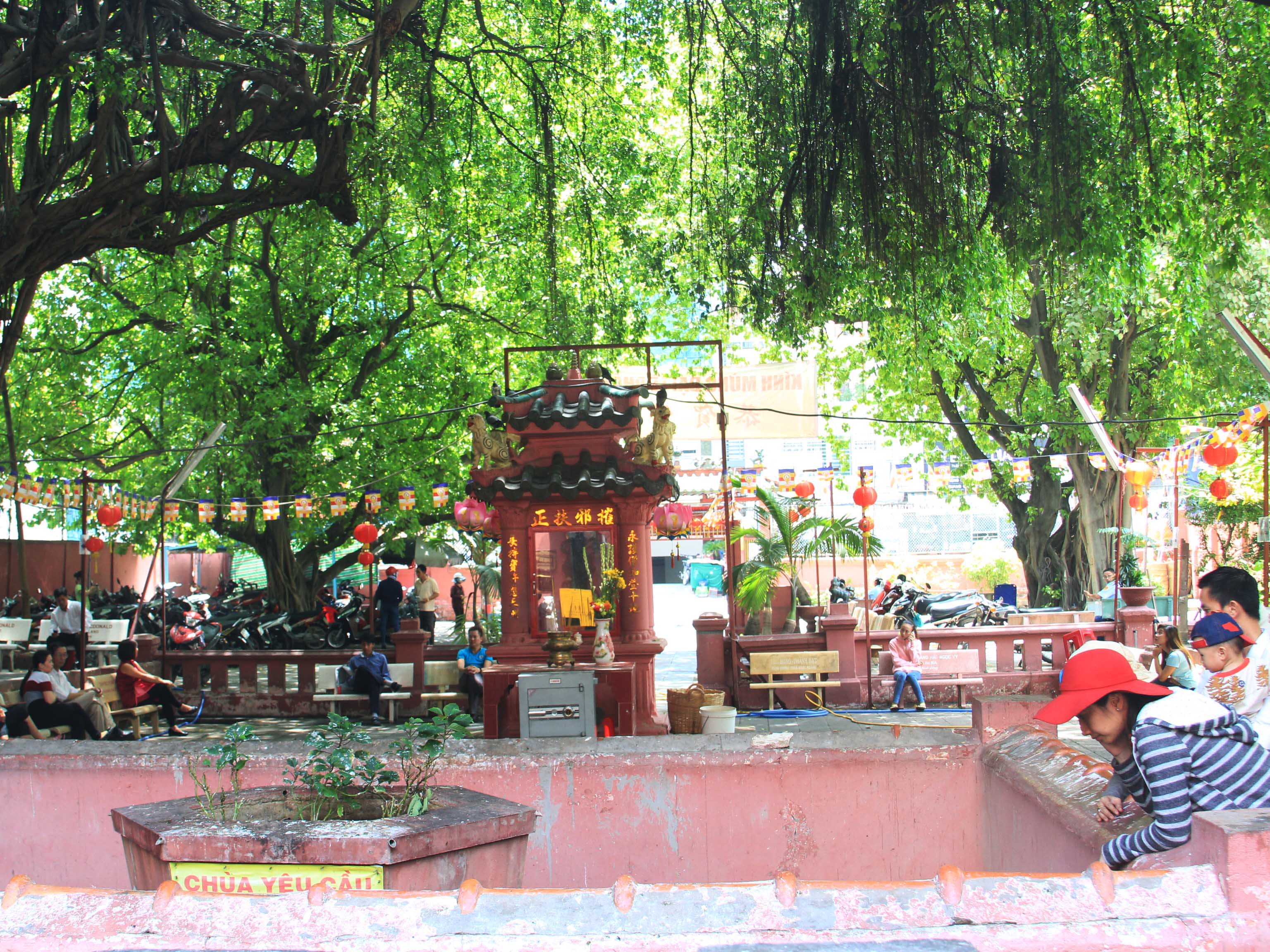 Khuôn viên chùa rợp bóng mát