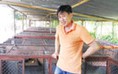 Làm giàu từ chồn hương