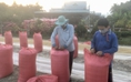 Cơ hội cho nông sản xâm nhập thị trường EU