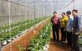 Đi học nghề - về làm chủ