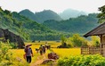 8 cung đường tuyệt đẹp khiến các tín đồ trekking 'mê tít'