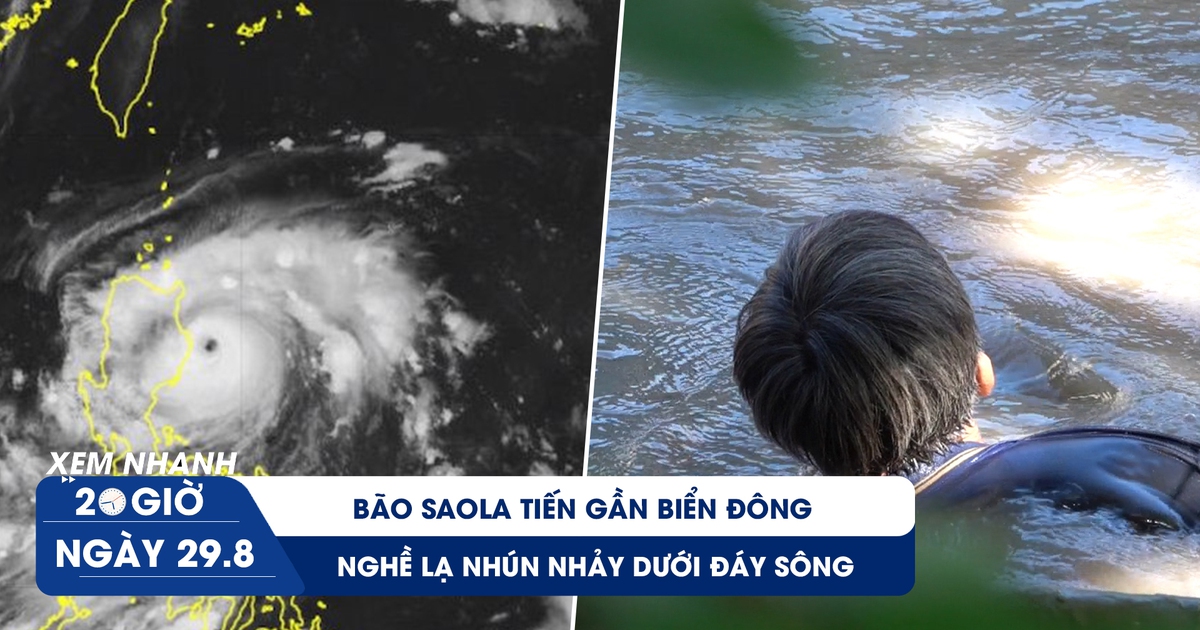 Xem nhanh 20h ngày 29.8: Bão Saola sắp đi vào Biển Đông | Nghề lạ tiền triệu ít ai làm ở miền Tây