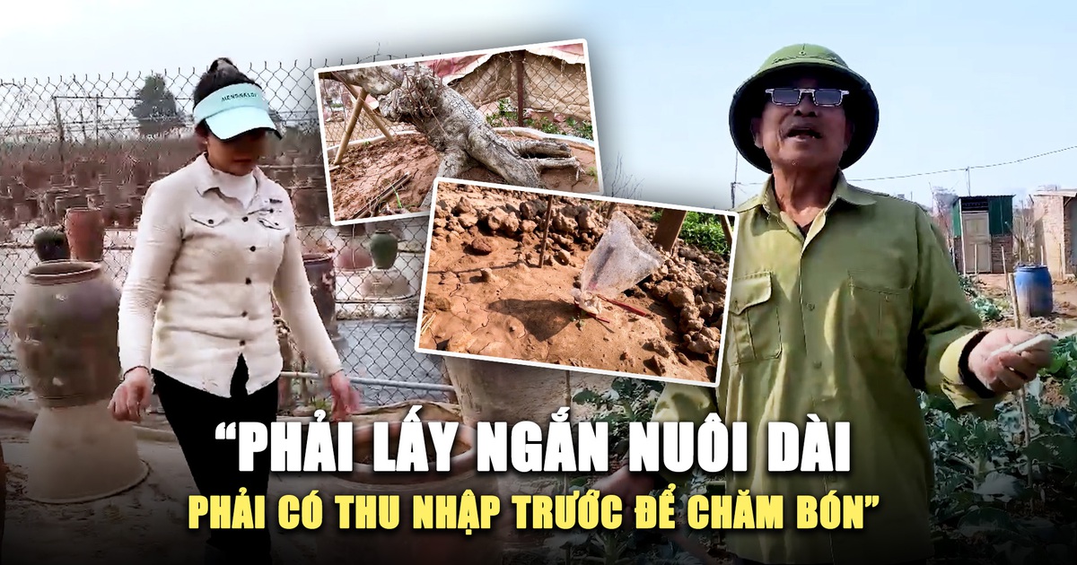 Chủ vườn ở làng cây cảnh nổi tiếng Hà Nội Tết phải đi làm thêm vì tết ‘thất thu’