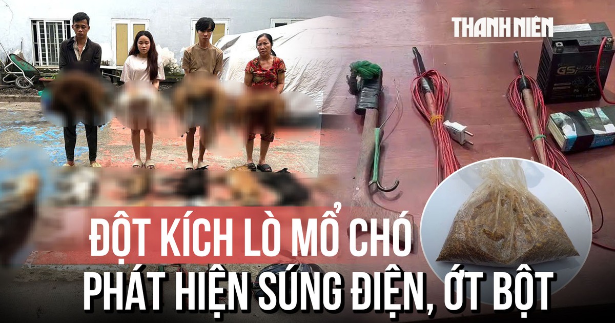 Đột kích lò mổ chó trong đêm, phát hiện súng kích điện và bột ớt chống trả