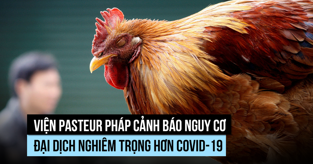 Viện Pasteur Pháp cảnh báo nguy cơ đại dịch đáng sợ hơn Covid-19