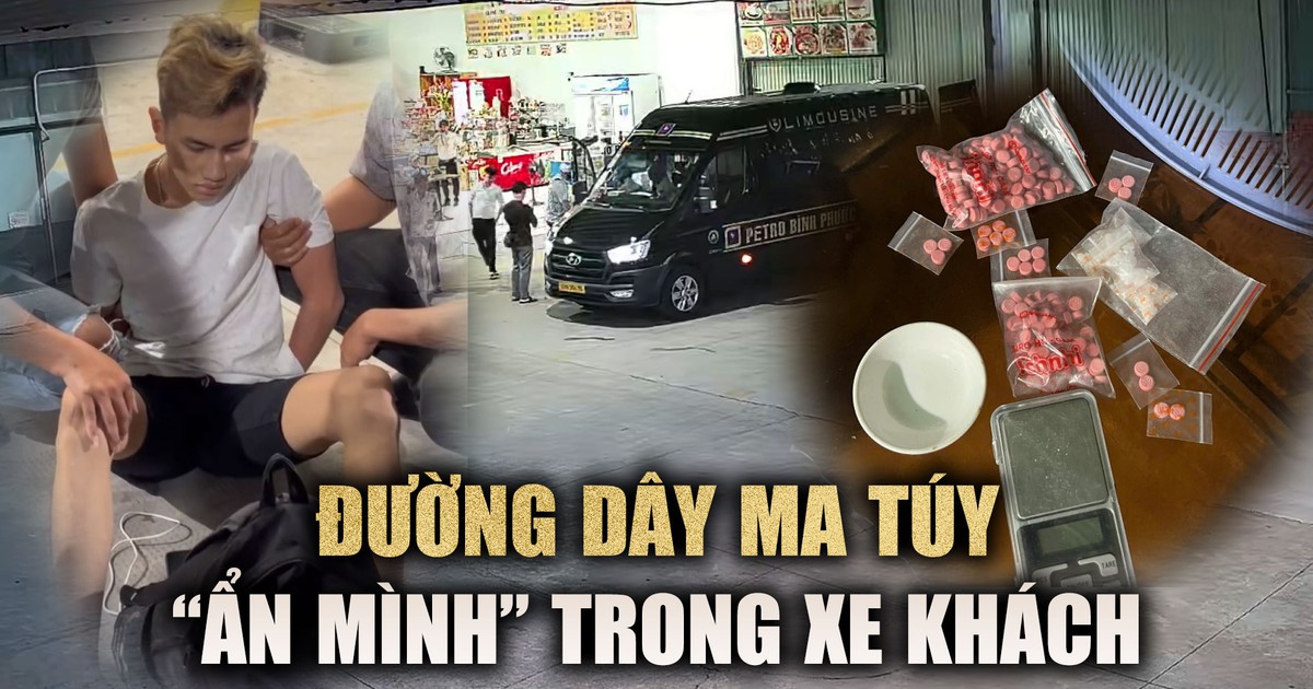 Lộ đường dây ma túy 'ẩn' trong những chuyến xe khách