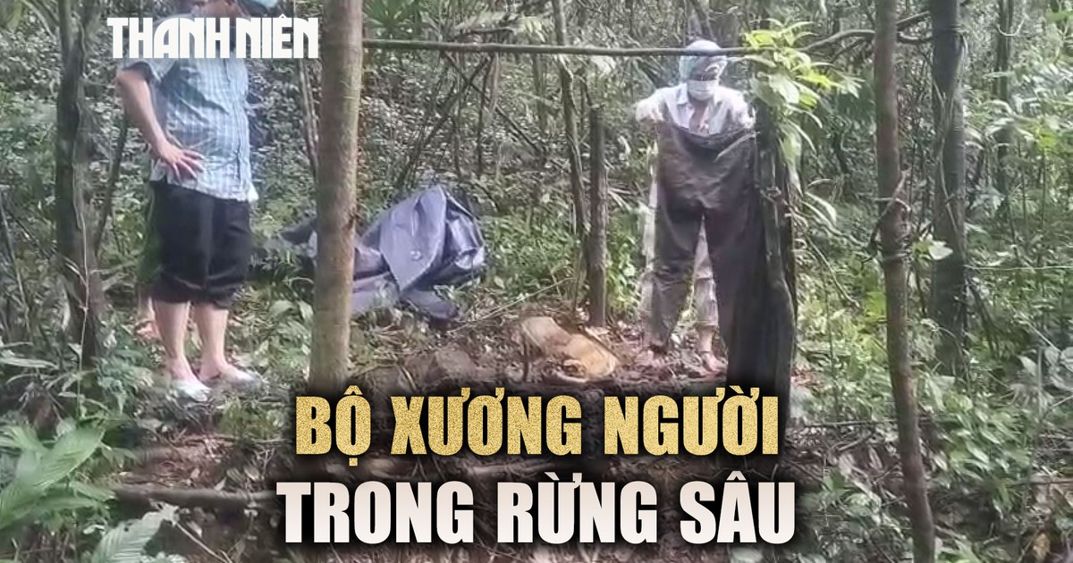 Phát hiện bộ xương người khi vào rừng tìm mật ong