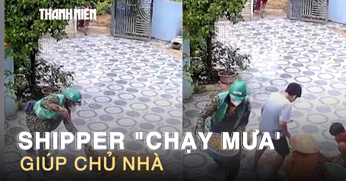 Đi giao hàng gặp trời mưa, shipper gom đậu phộng đang phơi giúp chủ nhà
