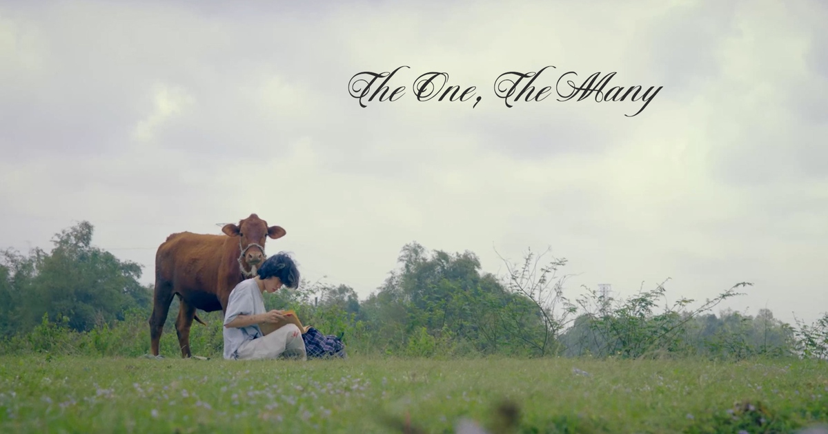 'The One, The Many' | Cuộc thi phim ngắn Vietnamese 2025