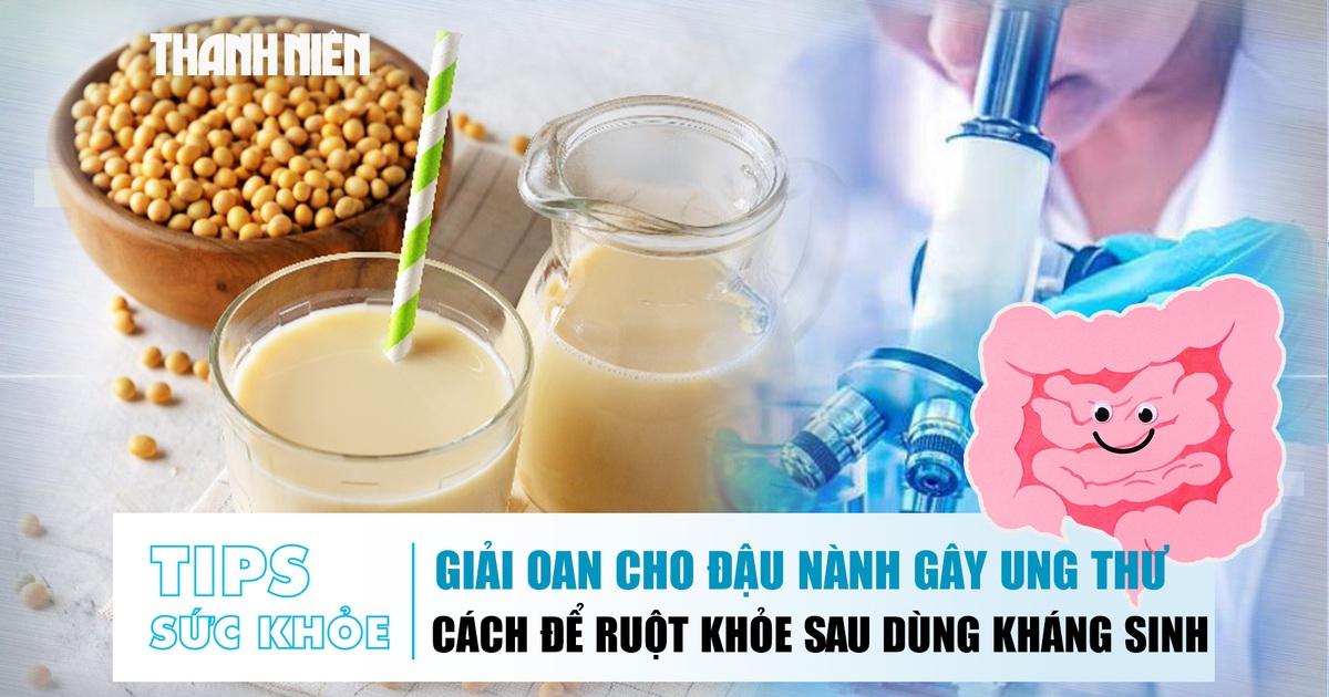 Bản tin sức khỏe ngày 1.10: Giải oan cho đậu nành gây ung thư | Làm sao để ruột khỏe sau khi dùng kháng sinh