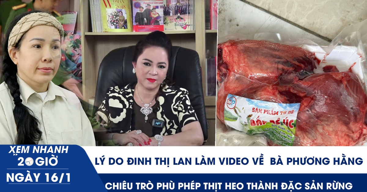 Xem nhanh 20h ngày 16.1: Lý do Đinh Thị Lan làm video về bà Phương Hằng | Phù phép thịt heo thành đặc sản rừng