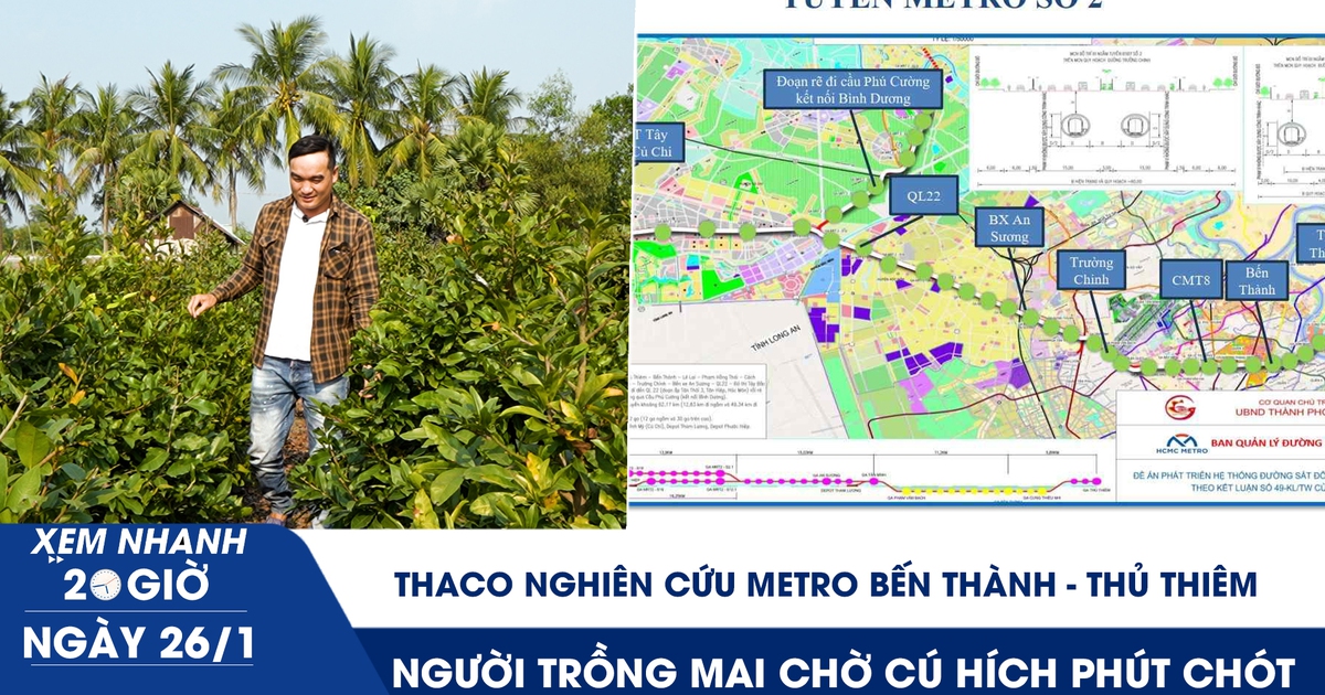 Xem nhanh 20h ngày 26.1: Thaco nghiên cứu metro Bến Thành - Thủ Thiêm | Người trồng mai chờ cú hích phút chót