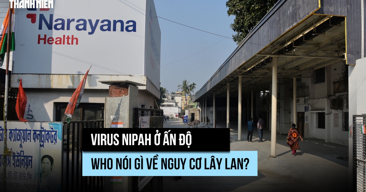 Virus Nipah ở Ấn Độ: WHO nói gì về nguy cơ lây lan?