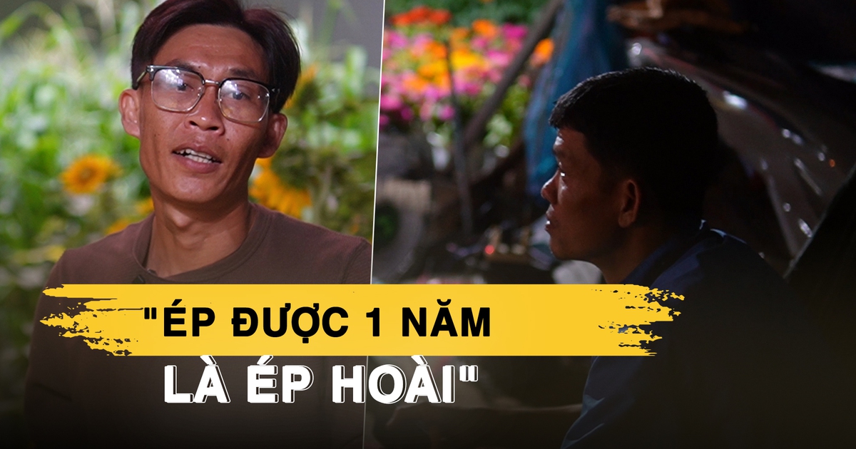 Tiểu thương thức thâu đêm 28 tết canh hoa, quyết không để bị ép giá: ‘Ép 1 năm được là ép hoài’