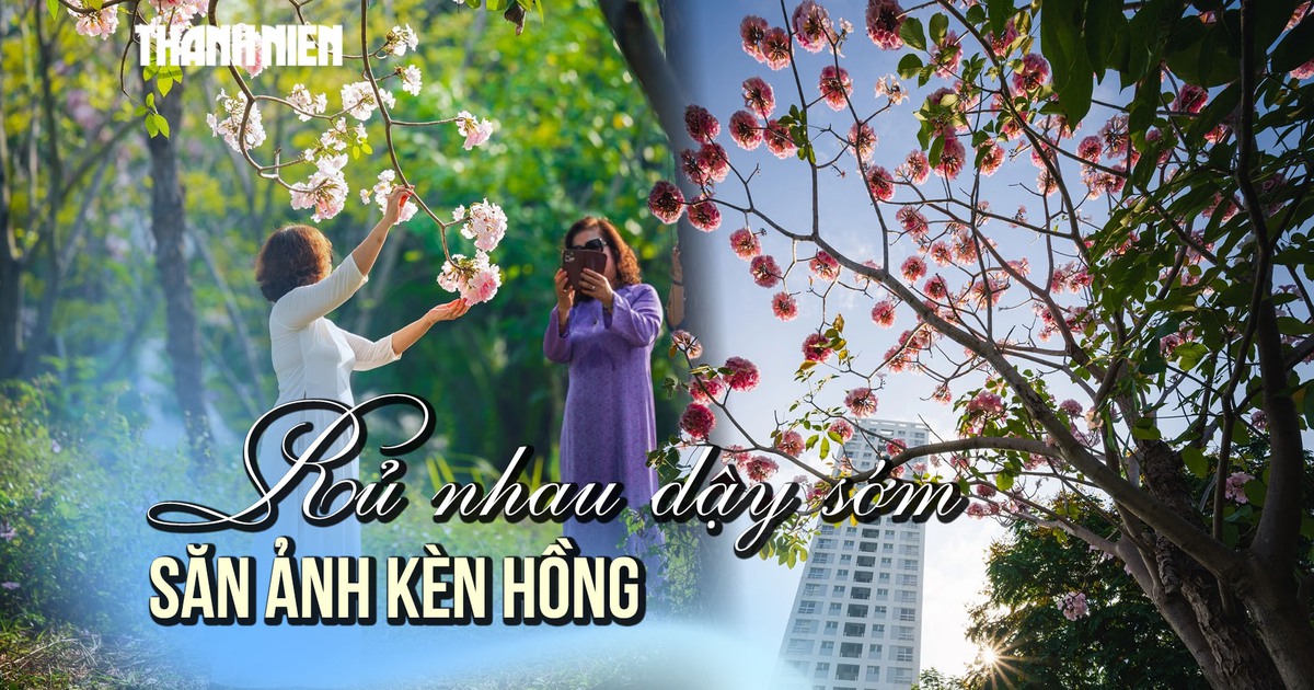 Rủ nhau dậy sớm săn ảnh kèn hồng ở TP.HCM