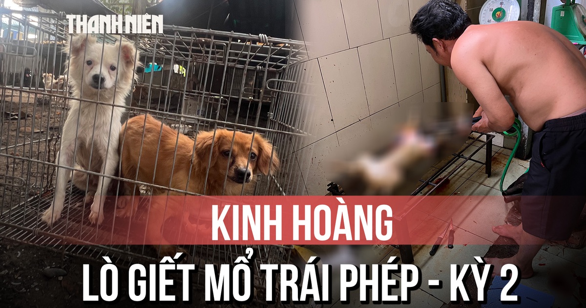 Kinh hoàng bên trong lò giết mổ chó mèo trái phép - Kỳ 2