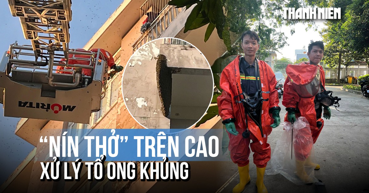 Nín thở trên cao xử lý tổ ong 'khủng' trong khu dân cư ở TP.HCM